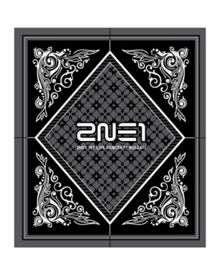 2NE1 - NOLZA! (1ST LIVE...
