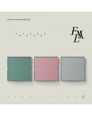 seventeen 10th mini album fml
