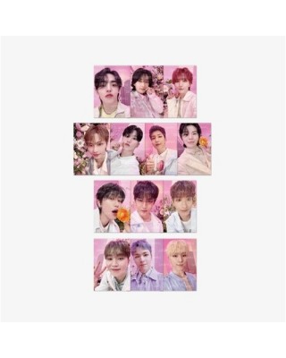 Pre-Order SEVENTEEN [ALL...