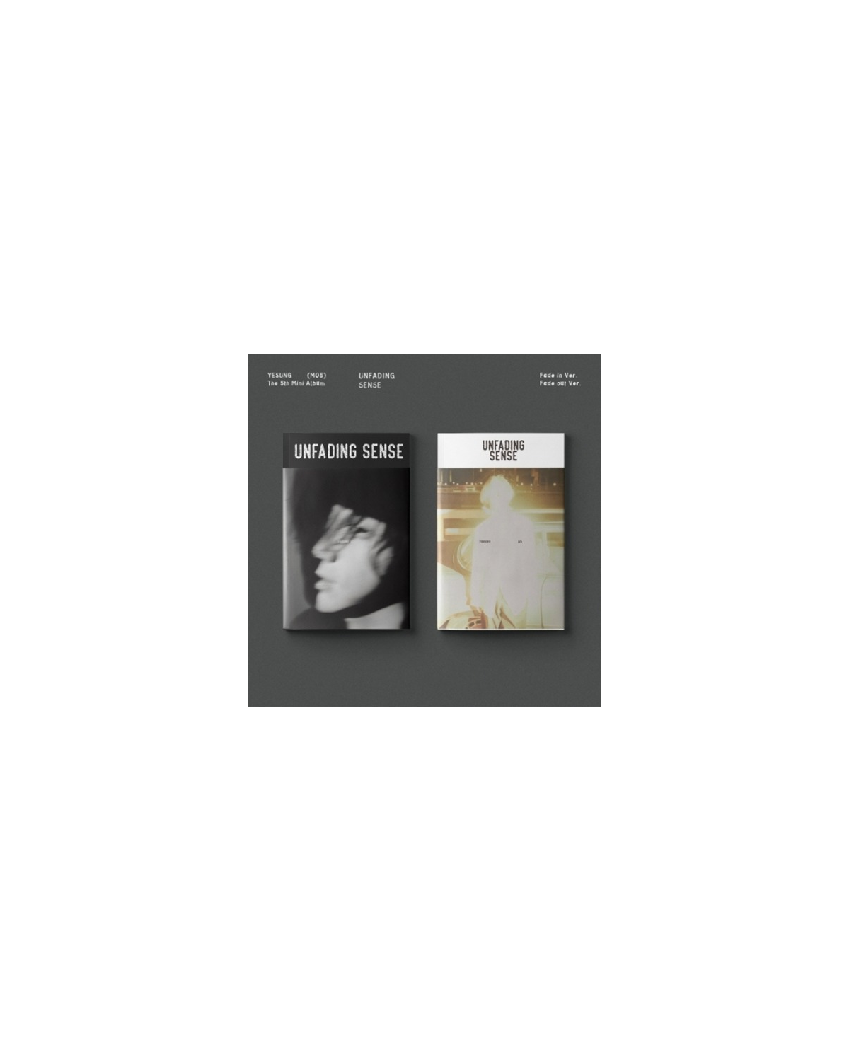 YESUNG - UNFADING SENSE (5TH MINI ALBUM) (PHOTO BOOK VER.)