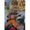 Najpopularniejszy Ninja na gadżetach w naszym sklepie - Naruto